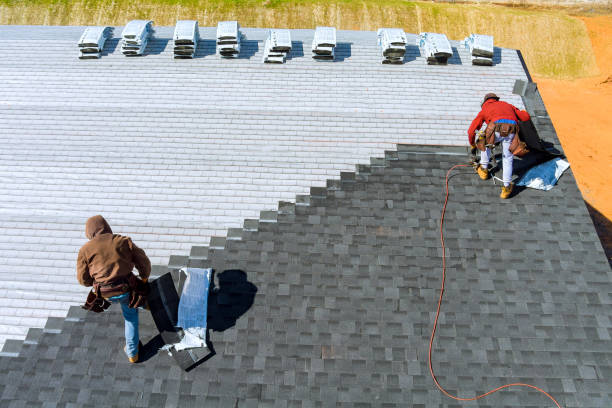 Best Roof Waterproofing Services  in Stockton, IL