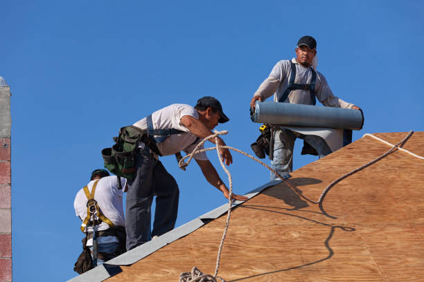 Best Metal Roofing Contractor  in Stockton, IL