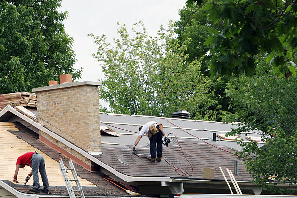 Best Residential Roofing Contractor  in Stockton, IL