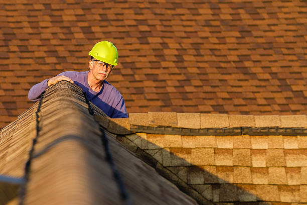 Best Storm Damage Roof Repair  in Stockton, IL