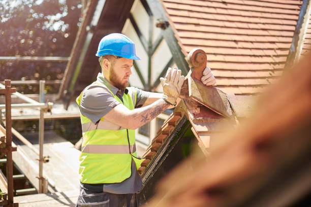 Best Roof Leak Repair  in Stockton, IL