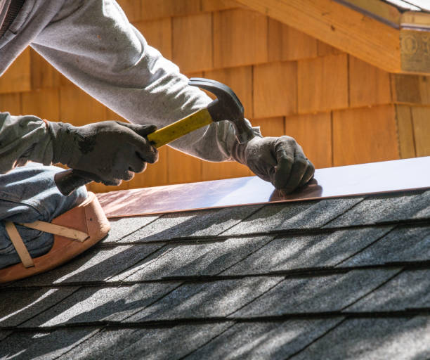 Professional Roofing Contractor in Stockton, IL